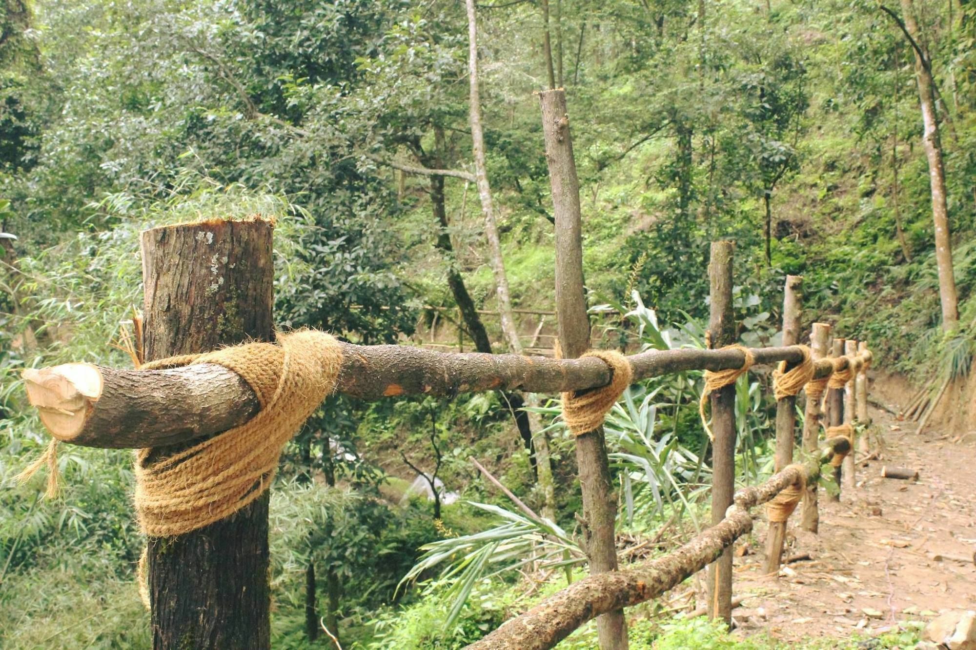 Bunjungle Adventures Hotel Kathmandu Ngoại thất bức ảnh